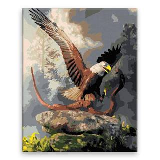 Malujsi Maľovanie podľa čísel - Orol loviaci kobru - 80x100 cm,  plátno vypnuté na rám