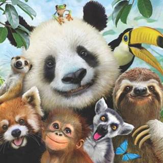 AnaTolian Puzzle Selfie zvieratiek zo zoo 500 dielikov