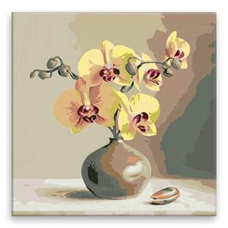 Malujsi Maľovanie podľa čísel - Orchidea - 80x80 cm,  plátno vypnuté na rám