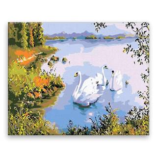 Malujsi Maľovanie podľa čísel - Rodina Swan - 100x80 cm,  plátno vypnuté na rám