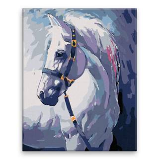Malujsi Maľovanie podľa čísel - Smutný kôň - 40x50 cm,  bez dreveného rámu