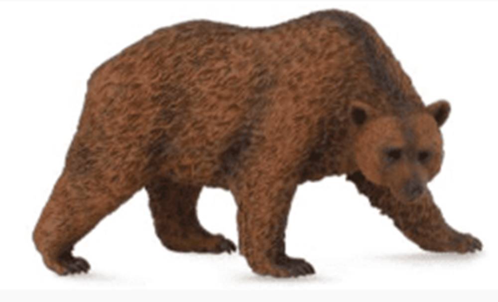 COLLECTA  figúrka Medveď hnedý značky COLLECTA