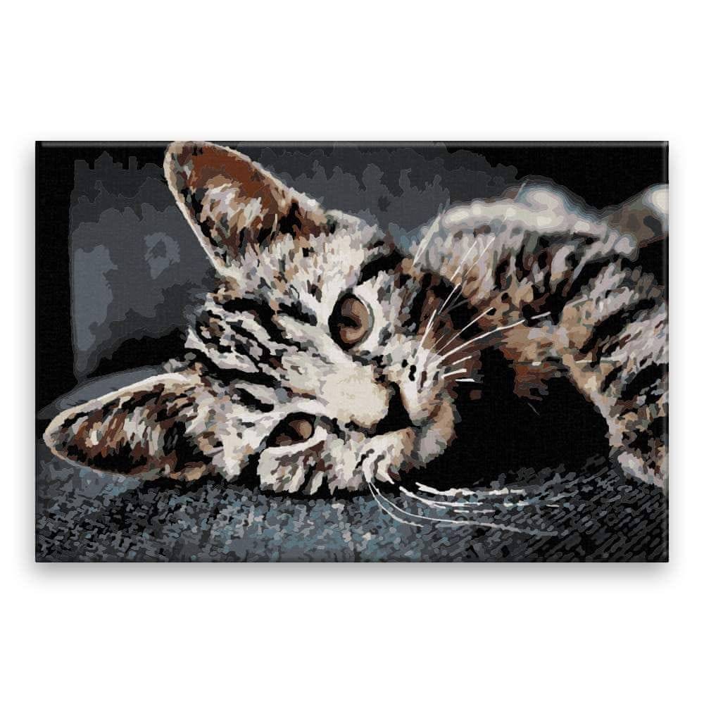 Malujsi  Maľovanie podľa čísel - Maurská mačka - 120x80 cm,  plátno vypnuté na rám značky Malujsi
