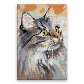 Malujsi Maľovanie podľa čísel - Mačka Matylda - 40x60 cm,  plátno vypnuté na rám