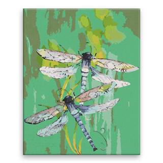 Malujsi Maľovanie podľa čísel - Dve vážky - 80x100 cm,  bez dreveného rámu