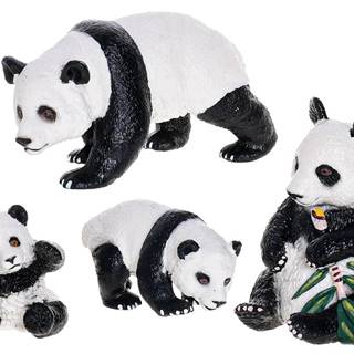 Mikro Trading Zoolandia samec a samica pandy s mláďatami v krabici