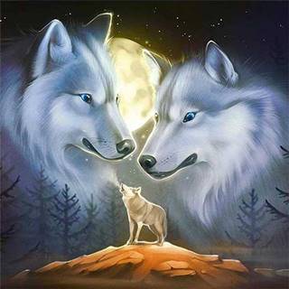 Nadirah Diamantový obraz Vlky v noci
