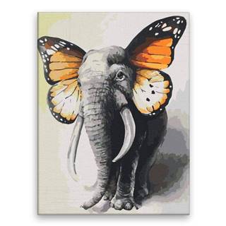 Malujsi Maľovanie podľa čísel - Slon s krídlami motýľa - 60x80 cm,  bez dreveného rámu