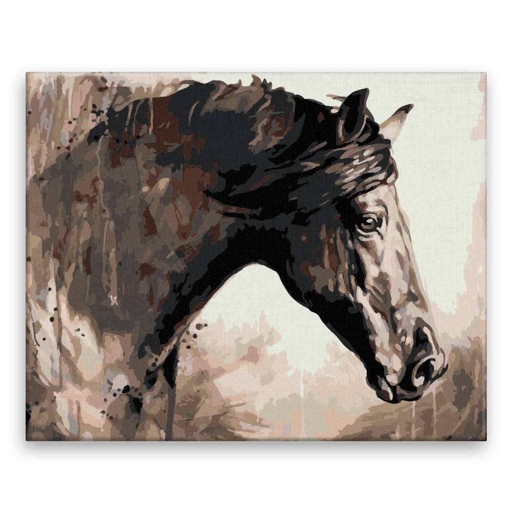Malujsi  Maľovanie podľa čísel - Pohľad koňa - 100x80 cm,  plátno vypnuté na rám značky Malujsi