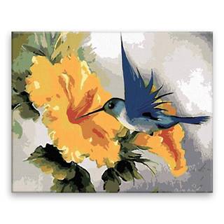 Malujsi Maľovanie podľa čísel - Kolibrík a žltý kvet - 100x80 cm,  plátno vypnuté na rám