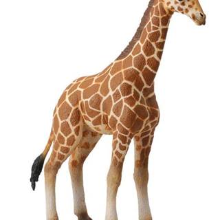 Mac Toys Žirafa - mláďa