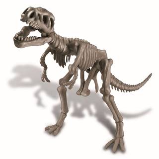 MPK TOYS Skelet dinosaura - REX