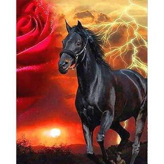 Nadirah Diamantový obraz Kôň a západ slnka