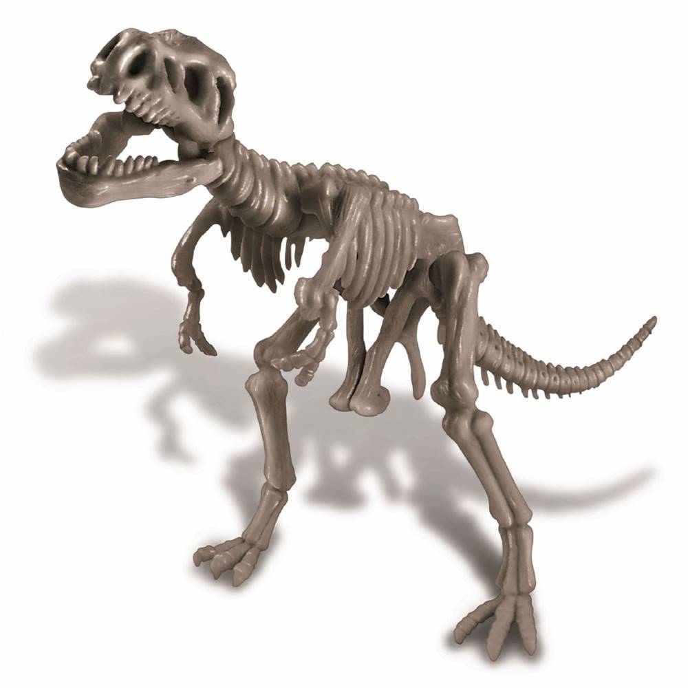MPK TOYS  Skelet dinosaura - REX značky MPK TOYS