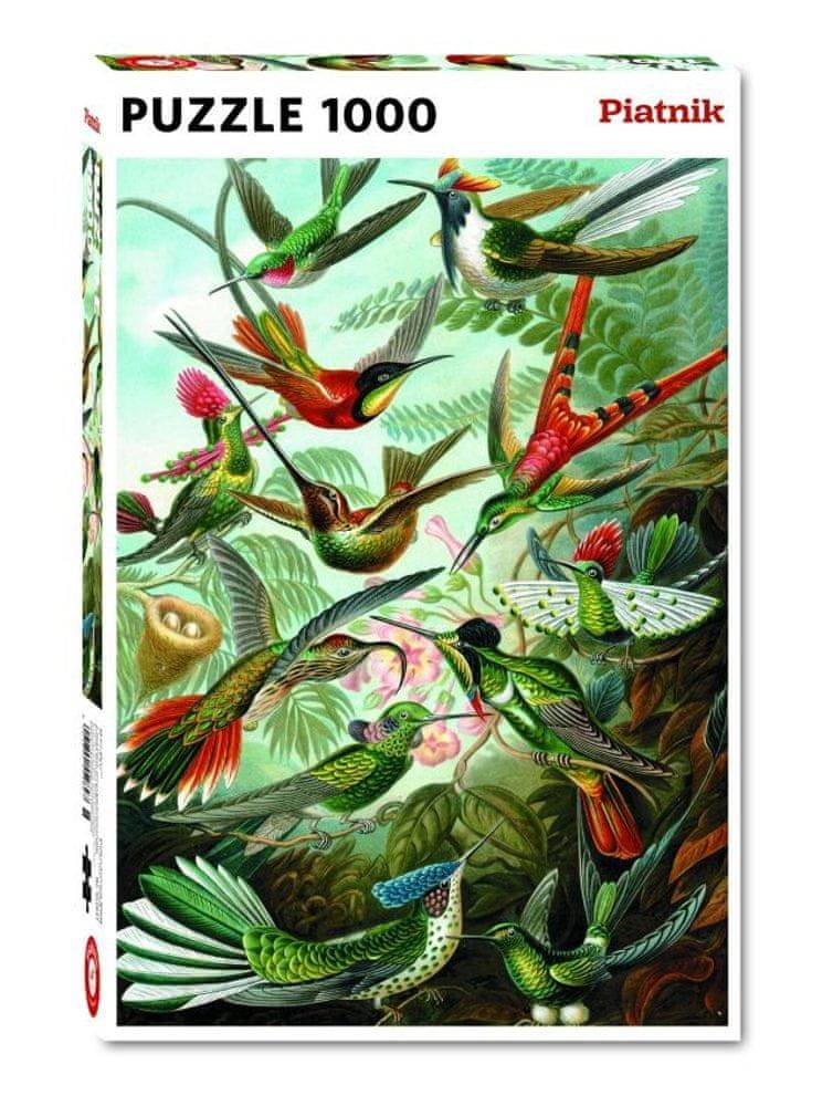 Piatnik  1000 d. Haeckel - kolibris značky Piatnik