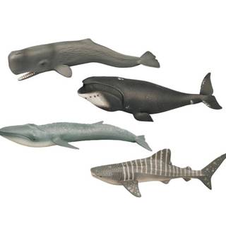 Mikro Trading Zoolandia morské zvieratá 22, 5-28 cm