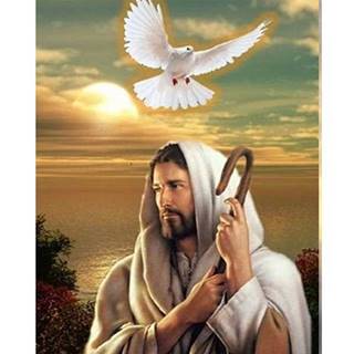 Nadirah Diamantový obraz Muž s holubicou