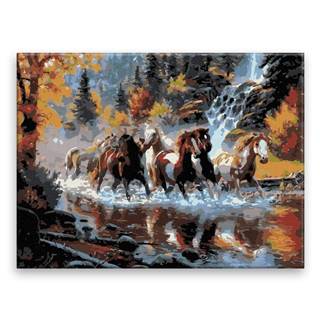 Malujsi Maľovanie podľa čísel - Divoké kone - 40x30 cm,  plátno vypnuté na rám