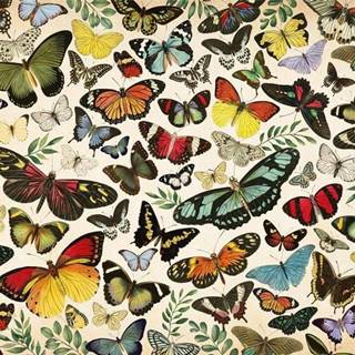 Jumbo  Puzzle Plagát s motýľmi 1000 dielikov značky Jumbo