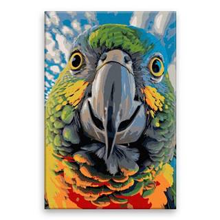 Malujsi  Maľovanie podľa čísel - Zvedavý papagáj - 80x120 cm,  plátno vypnuté na rám značky Malujsi