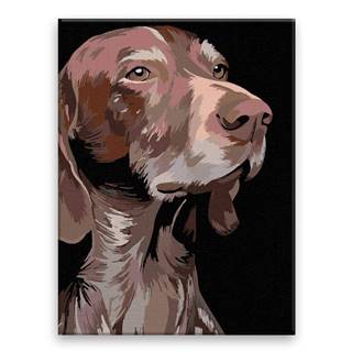 Malujsi Maľovanie podľa čísel - Pohľad psa - 60x80 cm,  plátno vypnuté na rám