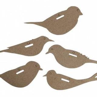 Sada kartónových tvarov - Vtáky 5 ks