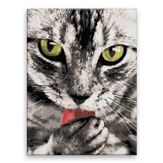 Malujsi Maľovanie podľa čísel - Čiernobiela mačka - 30x40 cm,  plátno vypnuté na rám