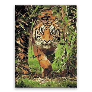 Malujsi Maľovanie podľa čísel -Číhajúci tiger - 30x40 cm,  plátno vypnuté na rám