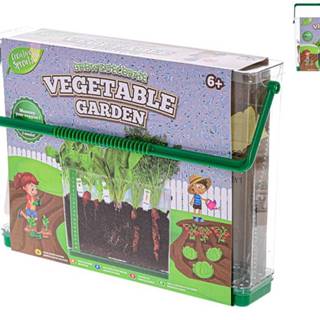 Mikro Trading Grow&decorate Vypestujte si záhradu,  3 druhy sadeníc s pôdou v priehľadnom boxe