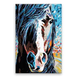 Malujsi  Maľovanie podľa čísel - Kôň s vyčesanou ofinou - 40x60 cm,  plátno vypnuté na rám značky Malujsi