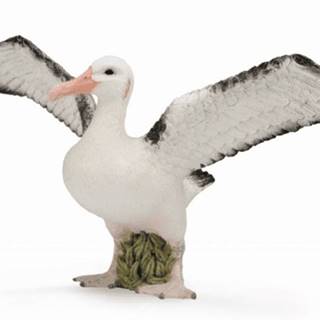 COLLECTA  figúrka Albatros sťahovavý značky COLLECTA