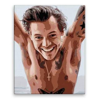 Malujsi  Maľovanie podľa čísel - Harry Styles 01 - 80x100 cm,  bez dreveného rámu značky Malujsi