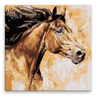 Malujsi Maľovanie podľa čísel - Kôň s vlajúcou hrivou - 40x40 cm,  plátno vypnuté na rám