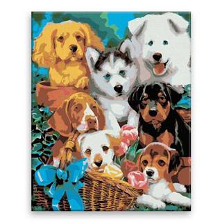 Malujsi  Maľovanie podľa čísel - Roztomilé šteniatka - 80x100 cm,  plátno vypnuté na rám značky Malujsi
