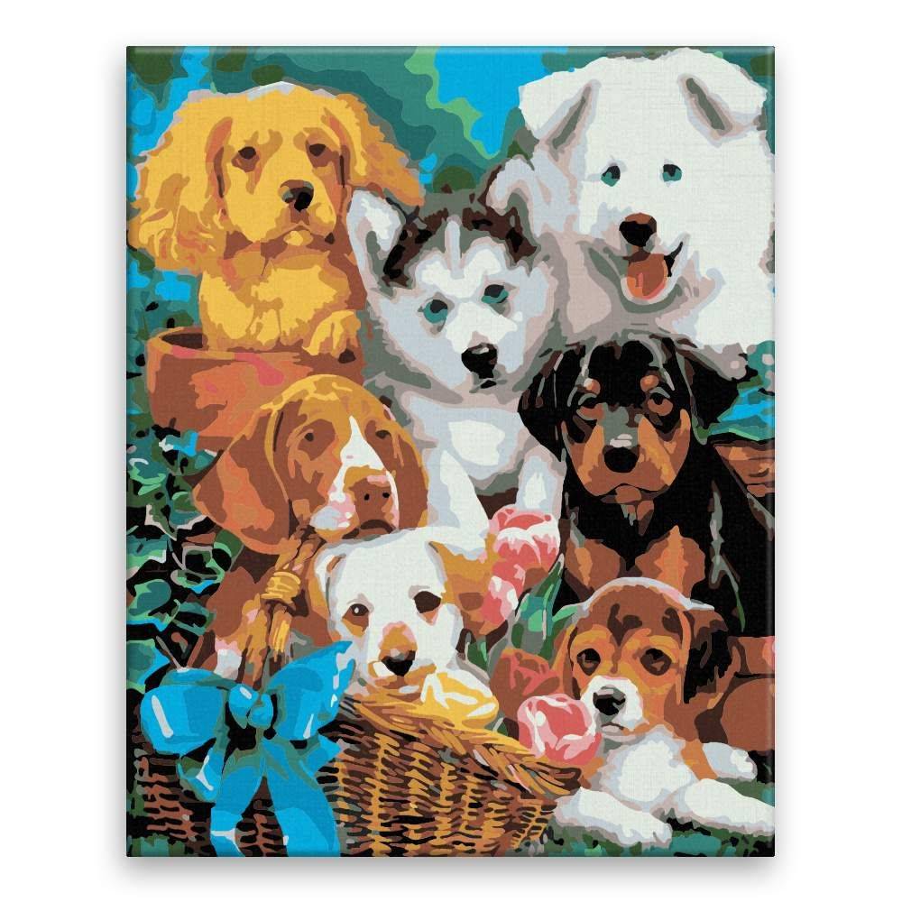 Malujsi  Maľovanie podľa čísel - Roztomilé šteniatka - 80x100 cm,  plátno vypnuté na rám značky Malujsi