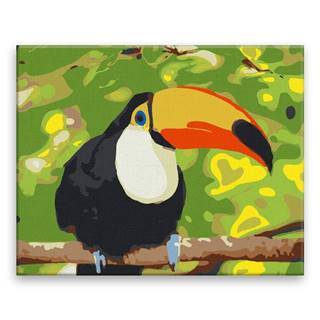 Malujsi Maľovanie podľa čísel - Obrovský tukan - 50x40 cm,  plátno vypnuté na rám