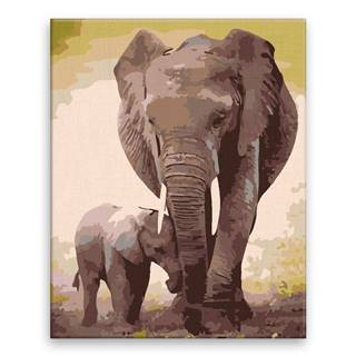 Malujsi Maľovanie podľa čísel - Slon so slonom - 40x50 cm,  bez dreveného rámu
