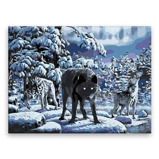 Malujsi  Maľovanie podľa čísel - Územie vlkov - 40x30 cm,  bez dreveného rámu značky Malujsi