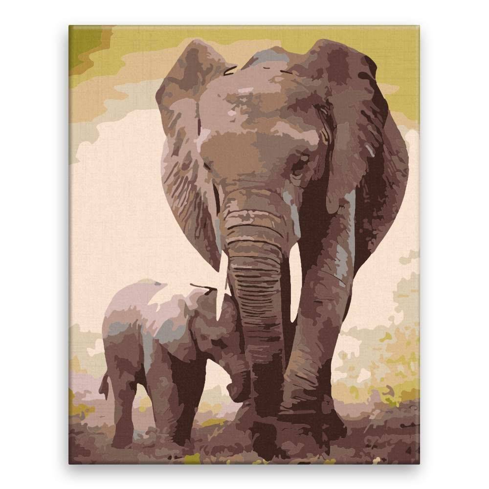 Malujsi  Maľovanie podľa čísel - Slon so slonom - 40x50 cm,  bez dreveného rámu značky Malujsi