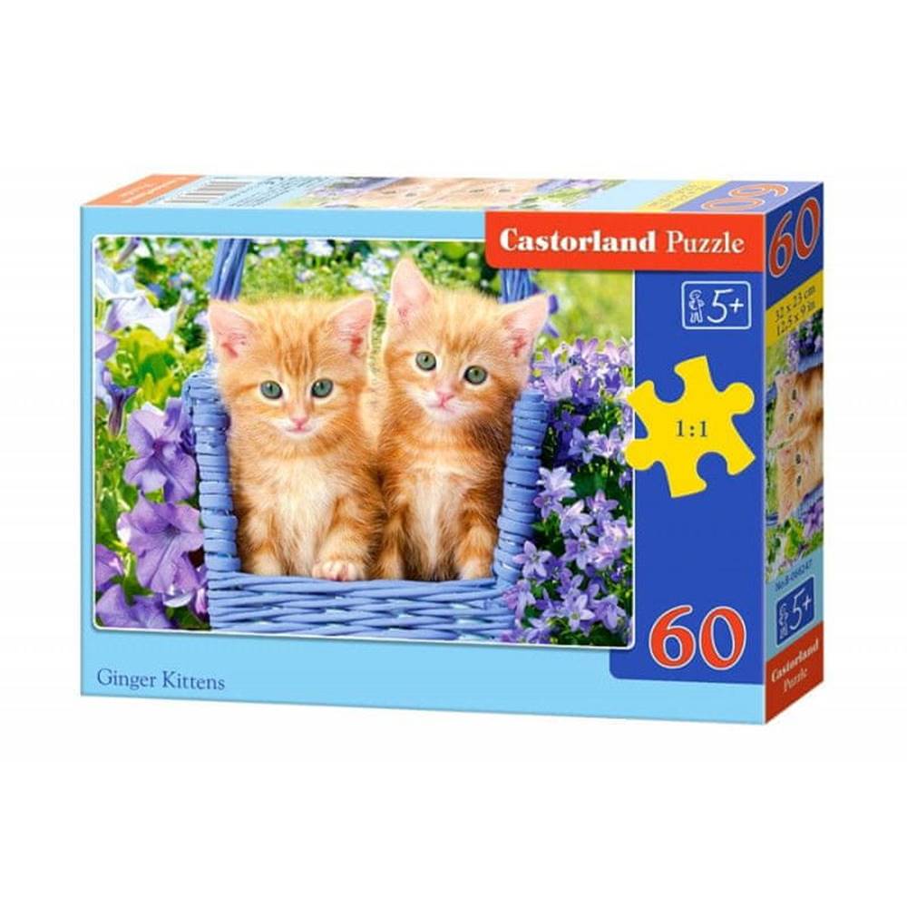 Castorland  Puzzle Ryšavé mačiatka,  60 dielikov značky Castorland