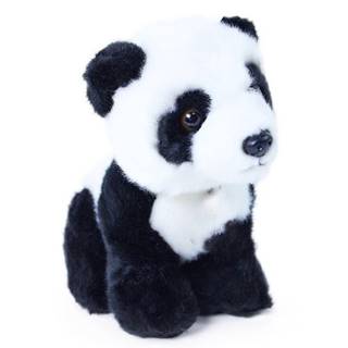 Rappa Panda sediaca