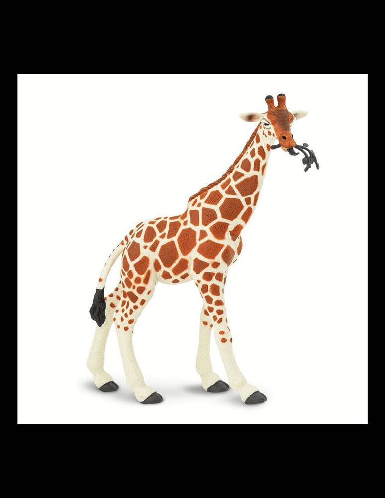 Safari Ltd.  Žirafa sieťovaná značky Safari Ltd.