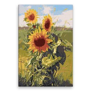 Malujsi Maľovanie podľa čísel - Divoké slnečnice - 40x60 cm,  plátno vypnuté na rám