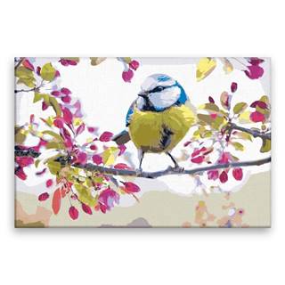 Malujsi Maľovanie podľa čísel - Jarný vták - 60x40 cm,  plátno vypnuté na rám