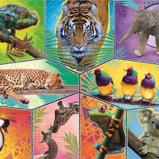Trefl  Puzzle Animal Planet: Svet exotických zvierat 200 dielikov značky Trefl