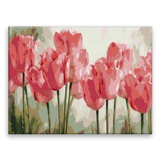 Malujsi Maľovanie podľa čísel - Ružové tulipány - 40x30 cm,  plátno vypnuté na rám
