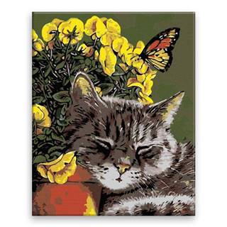 Malujsi Maľovanie podľa čísel - Spiaca mačka v kvetoch - 40x50 cm,  bez dreveného rámu