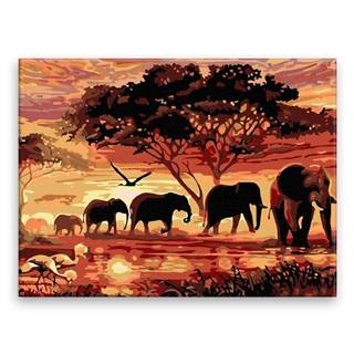 Malujsi Maľovanie podľa čísel - Západ slnka v Afrike - 40x30 cm,  bez dreveného rámu