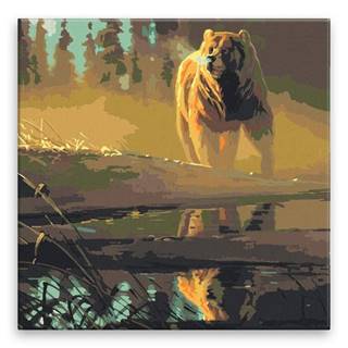 Malujsi Maľovanie podľa čísel - Medveď hnedý pri rieke - 80x80 cm,  plátno vypnuté na rám