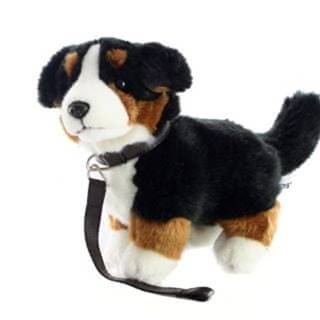Plyš Bernský salašnícky pes s vodítkom 26 cm